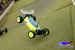 2015 DM 4WD Buggy 4WD Juni